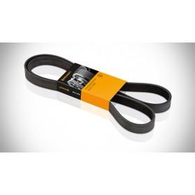 V-ribbed belt CONTITECH 6PK2445