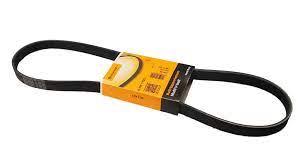 6PK1125 Dayco generator belt