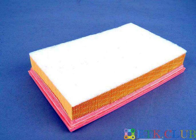 13717505007 BMW air filter